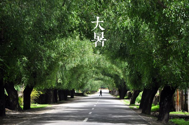 大暑丨葡園消煩暑，夢涼天地寬