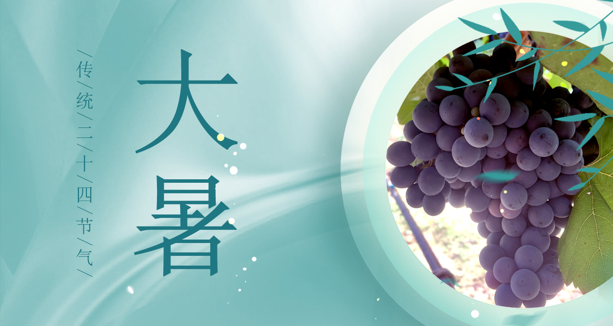 大暑 ▎時夏三伏盛，葡萄綴滿天