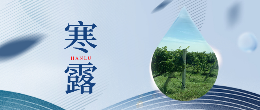 寒露丨夜露凝寒，萬(wàn)物皆秋