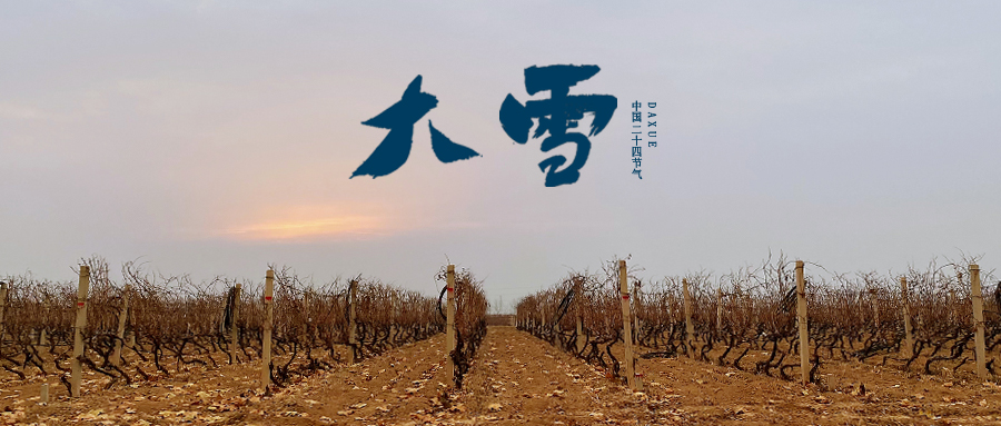 大雪 ▎世界留白，天地靜美