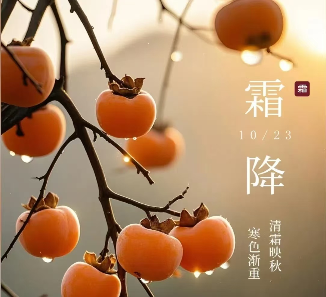 霜降||人間至此秋色盡，草木搖落露為霜